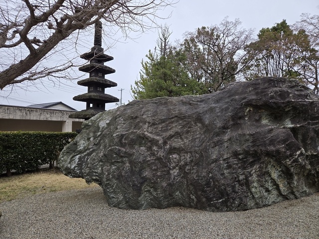 20250413_084838.jpg
